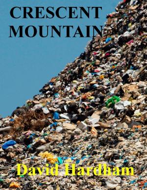 Book cover of Crescent Mountain