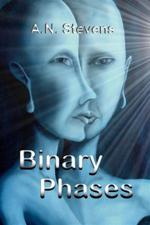 Cover of the book Binary Phases by N A