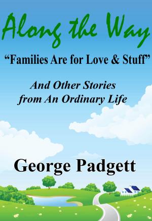 Cover of the book Along the Way: "Families Are for Love & Stuff" and Other Stories from an Ordinary Life by Candee Fick