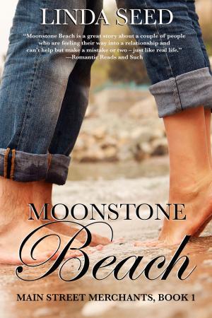 Cover of the book Moonstone Beach by J. L. Bryan