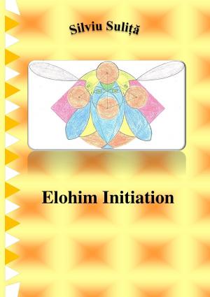 Cover of the book Elohim Initiation by David Brazil, Tyswan Slater