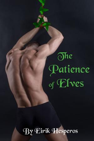 Cover of the book The Patience of Elves by Robert Ray Moon