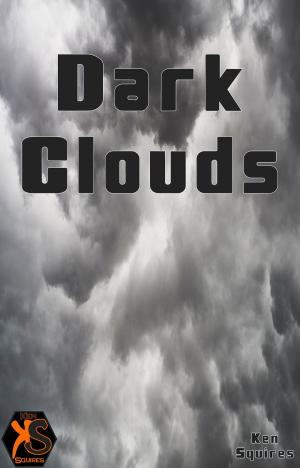 bigCover of the book Dark Clouds by 
