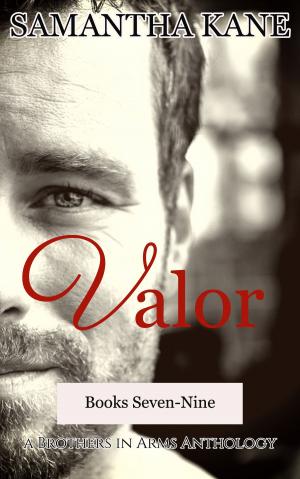 Cover of the book Valor by Samantha Kane