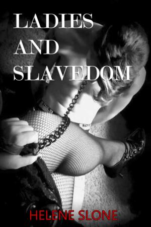 Cover of the book Ladies and Slavedom by Amanda K.