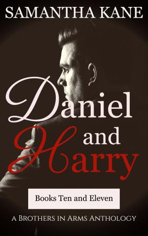 Cover of the book Daniel and Harry by Chantal Paulette