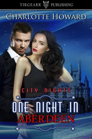 Cover of the book One Night in Aberdeen by Christy Nicholas