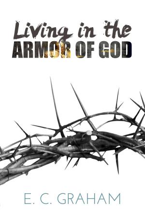 Cover of the book Living in the Armor of God by Amara Dele-Erin