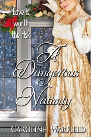 Cover of the book A Dangerous Nativity by Pierre Alexis Ponson du Terrail