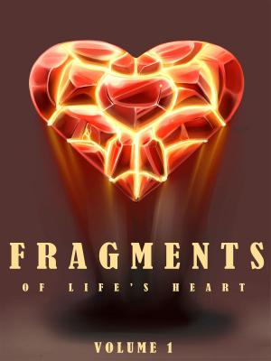Cover of the book Fragments of Life's Heart by Neil S. Reddy