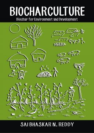 bigCover of the book Biocharculture Biochar for Environment and Development by 