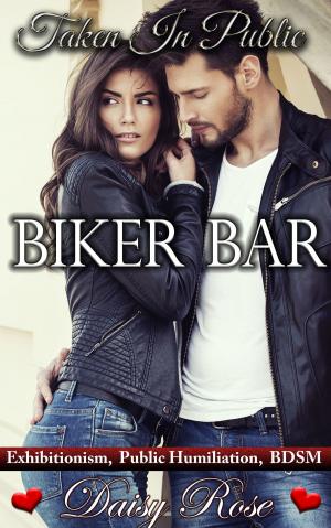 Book cover of Taken In Public 1: Biker Bar