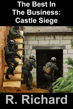 Book cover of The Best In The Business: Castle Siege