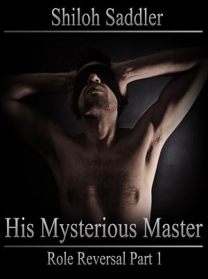 Book cover of His Mysterious Master: Role Reversal Part 1
