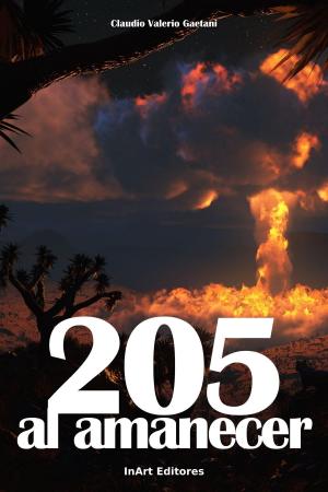 bigCover of the book 205 Al Amanecer by 