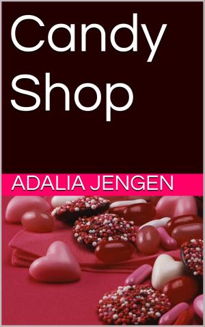 Cover of the book Candy Shop by Lita Locke