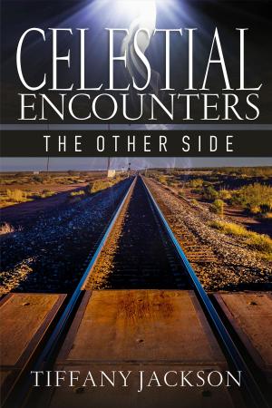 Book cover of Celestial Encounters: The Other Side
