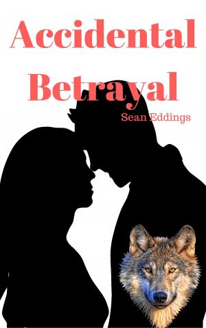 bigCover of the book Accidental Betrayal by 