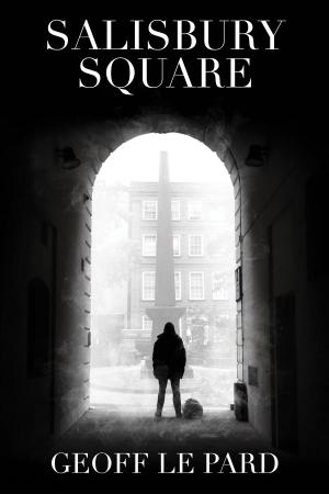 Cover of the book Salisbury Square by Katie  L. Carroll