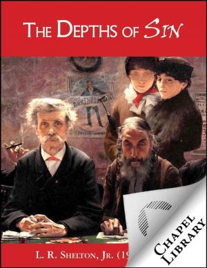 Cover of the book Depths of Sin by Jeffrey Lyons