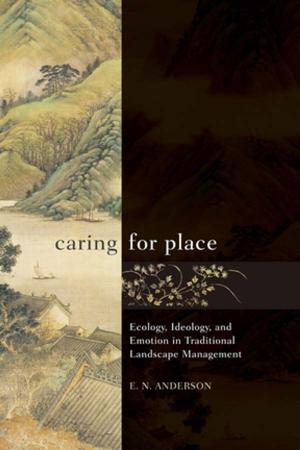 Cover of the book Caring for Place by E.J. Lowe