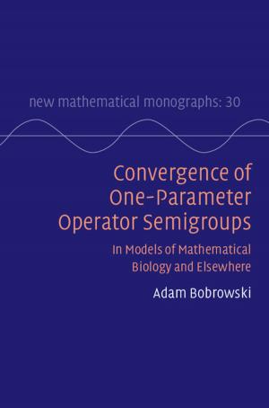 Cover of the book Convergence of One-Parameter Operator Semigroups by Antonia Ruppel