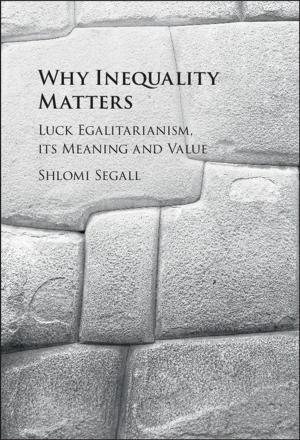 Cover of the book Why Inequality Matters by Felice Batlan