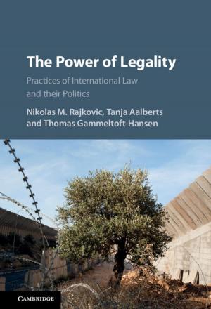 Cover of the book The Power of Legality by Jonathan W. Godt, Ning Lu