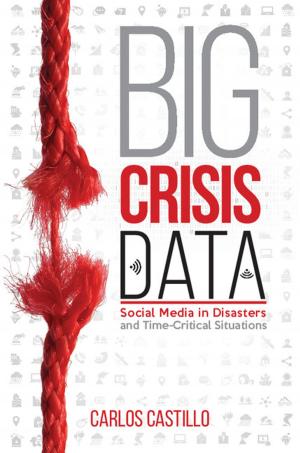 Cover of the book Big Crisis Data by Benoît Dubreuil