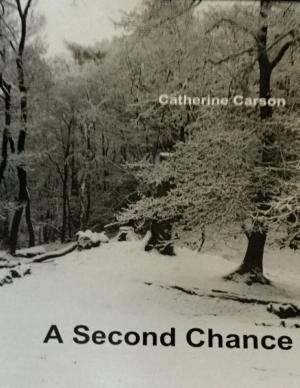 Cover of the book A Second Chance by Richard James