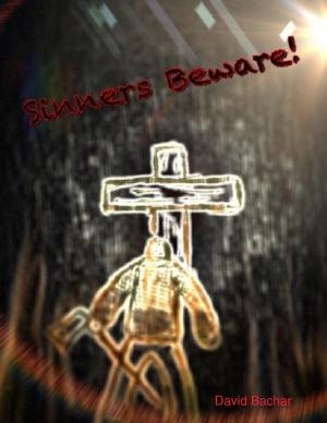 Cover of the book Sinners Beware by Hany