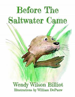 bigCover of the book Before the Saltwater Came by 