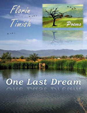 Cover of the book One Last Dream by Philip Tranton