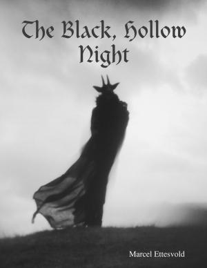Cover of the book The Black, Hollow Night by E.R. Wytrykus