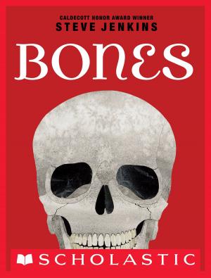 bigCover of the book Bones: Skeletons and How They Work by 
