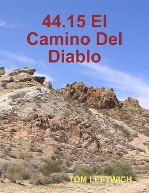 Book cover of 44.15 El Camino Del Diablo