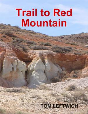 Cover of the book Trail to Red Mountain by Ayatullah Murtadha Mutahhari