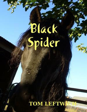 Cover of the book Black Spider by Isa Adam