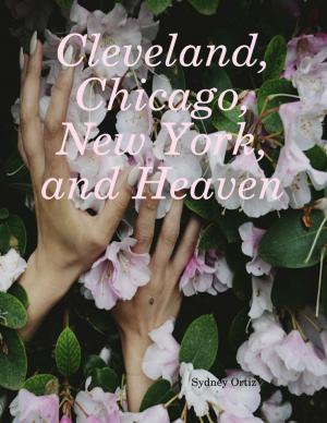 Cover of the book Cleveland, Chicago, New York, and Heaven by Charles E. Borjas