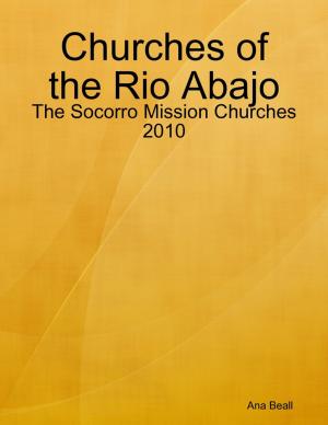 Cover of the book Churches of the Rio Abajo: The Socorro Mission Churches 2010 by Richard Paskowitz, M.D.