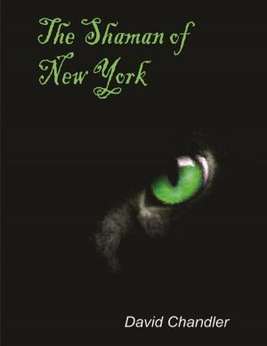 Cover of the book The Shaman of New York by Matthew Del Papa