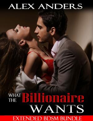 Cover of the book What the Billionaire Wants: Extended Bdsm Bundle by M. James Ziccardi