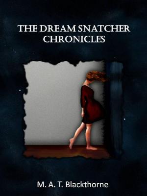 Cover of the book The Dream Snatcher Chronicles by C. Haynes