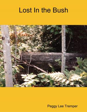 Book cover of Lost In the Bush