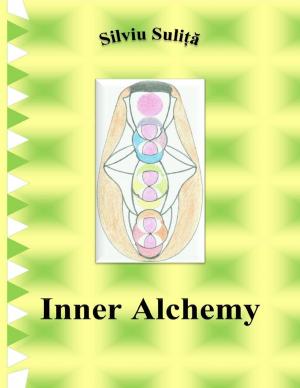 Cover of the book Inner Alchemy by Y KC