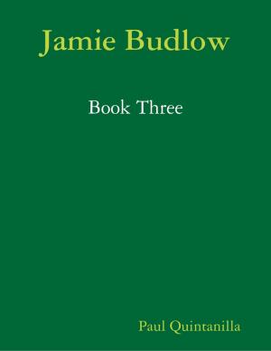 Cover of the book Jamie Budlow - Book Three by Vernon O. Hosannah, Hilton O. Hosannah, Constance S. Hosannah