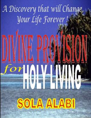 bigCover of the book Divine Provision for Holy Living by 