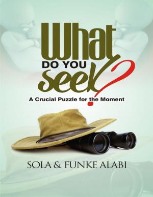 Cover of the book What Do You Seek? : A Crucial Puzzle for the Moment by Maria Tsaneva