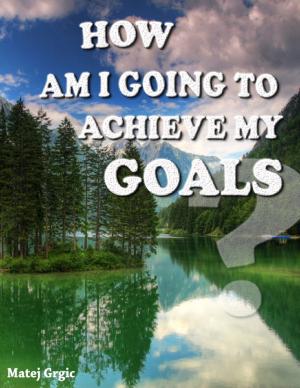 Cover of the book How Am I Going to Achieve My Goals by Robert G. Butler
