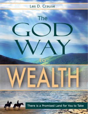 Cover of the book The God Way to Wealth by Bring On Fitness